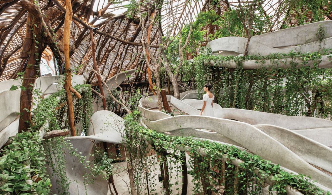 Biophilic Design in Art: Bringing Nature Indoors with a Modern Twist