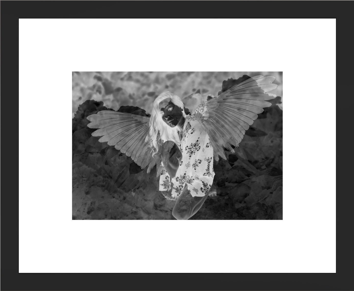 “Dark Paradise” Fine Art Print | Limited Edition | Framed
