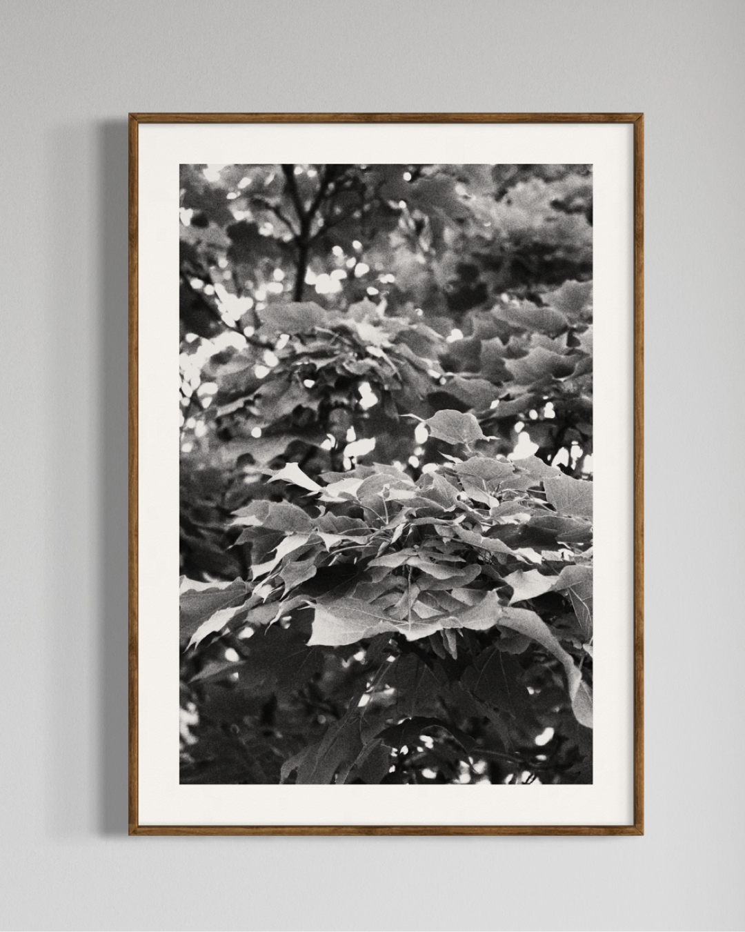 Gaia #4 | Camila Avelar Abstract Fine Art Print | Limited Edition of 250