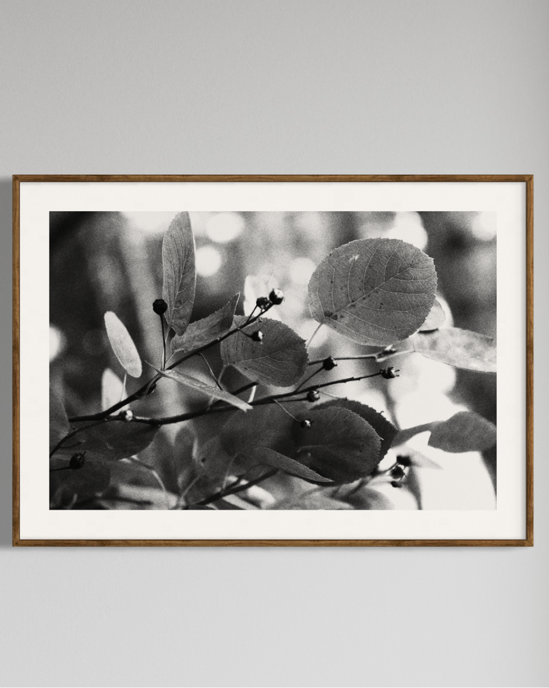 Gaia #6 | Camila Avelar Abstract Fine Art Print | Limited Edition of 250