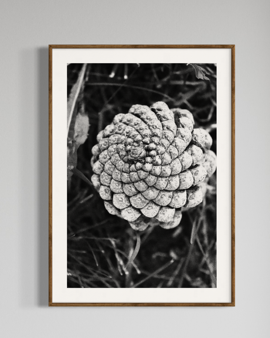 Gaia #5 | Camila Avelar Abstract Fine Art Print | Limited Edition of 250
