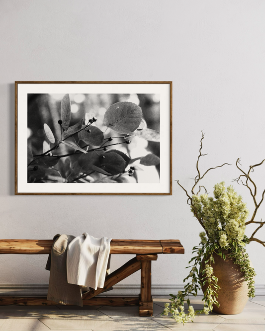 Gaia #6 | Camila Avelar Abstract Fine Art Print | Limited Edition of 250