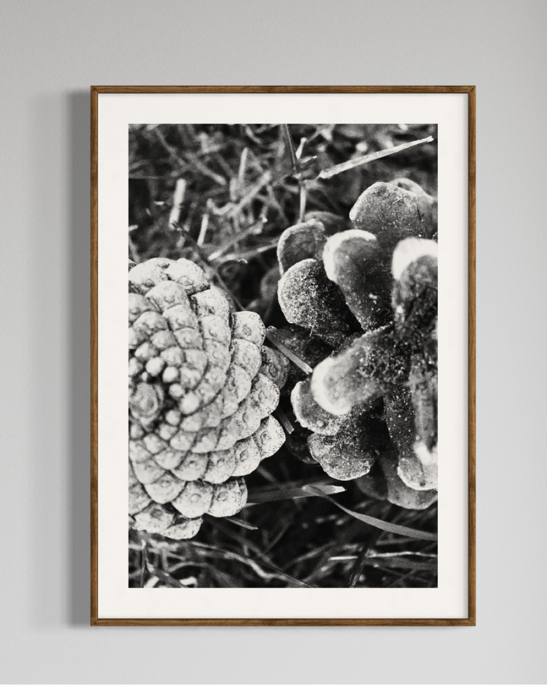 Gaia #2 | Camila Avelar Abstract Fine Art Print | Limited Edition of 250